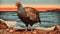 Vintage Poster Style: Turkey Standing By Brackish Water