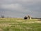 Vintage Prairie Shack, Desolate Landscape