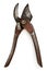 Vintage pruning shears