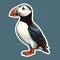 Vintage Puffin Animal Sticker Vector Illustration