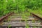 Vintage railroad route and old rails in the woods. Stop way