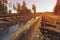 Vintage railroad truck in forest