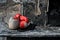 Vintage red Boxing gloves on old table in burnt room