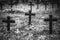 Vintage, retro black and white photo of old graves and crosses in a cemetery. Grainy, noisy, artistic monochrome image. Halloween