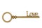 Vintage retro bronze love skeleton key