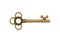 Vintage retro bronze skeleton key