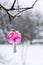 Vintage retro Christmas tree glass decoration snowy red toadstool fly agaric outdoors winter landscape, snow falling