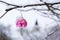 Vintage retro Christmas tree glass decoration snowy red toadstool fly agaric outdoors winter landscape, snow falling