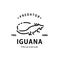 vintage retro hipster iguana logo