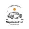 vintage retro hipster napoleon fish logo vector outline monoline