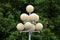 Vintage retro multi level pyramid style street lights with multiple ball shaped lights mounted on top of strong metal pole with