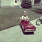 Vintage Retro Photo Young Boy Play in Pedal Car