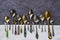 Vintage and retro spoons set, collection of silverware spoons
