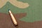 Vintage rifle bullets on military camouflage seamless pattern background. War concept