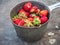 Vintage ripe strawberries just picked in the village garden on a wooden bench outdoors