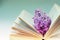 Vintage romantic background with old book, lilac flower, and little seashell