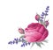 Vintage rose, lavender. Watercolor painting.