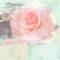 Vintage rose painted with brush stroke on wall background