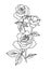 Vintage rose tattoo, flower vector illustration