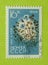Vintage Russia postage stamp