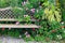 Vintage rustic garden bench with shade loving plant mix in natural style