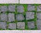 Vintage, Rusty tiled, colorful, decorative stone pavement with green grass and moss.