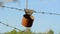 Vintage rusty tin metal can on the wire, environment diversity