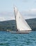 Vintage sail boat on the Waitemata Harbour