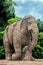 Vintage Sandstone Sculpture of Elephant. Konark Sun Temple,