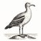 Vintage Seagull Engraving: Dark Academia Halloween Clipart