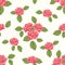 Vintage seamless pattern with roses