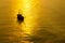 Vintage ship sailing in the calm golden sea at sunset