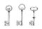 Vintage skeleton keys in engraving style