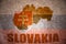 Vintage slovakia map