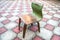 Vintage small wooden chair on tiled floor