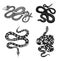 Vintage snake set. Royal python, milk reptile with sword, Venomous Cobra. Poisonous Viper for poster or tattoo. Engraved