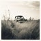 Vintage Southern Gothic-inspired Car In Tall Grass