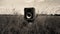 Vintage Speaker In Tall Grass: A Distorted Blurry Grainy Photo