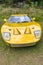 Vintage Sports Car Mustard Yellow