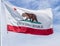Vintage State Flag of California
