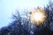 Vintage street lamp and bare trees at winter twilight