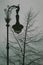 Vintage Streetlamp