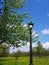 Vintage streetlight amidst blooming branches