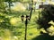 Vintage streetlight or high lamp or electric lamppost with green trees and a park or garden the background
