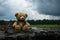 Vintage style bear doll, a poignant, solitary figure amidst dark tones