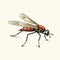 Vintage-style Illustration Of Gnat On White Background