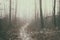 Vintage style image of a foggy forest