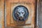Vintage style retro bronze door handle or knocker lion with wooden door. Close up image
