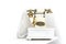 Vintage Style Rotary Retro Telephone landline phone on white background.