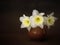 Vintage style still life of pale and beautiful daffodil, narcissus flowers and jug. Chiariscuro light painting.